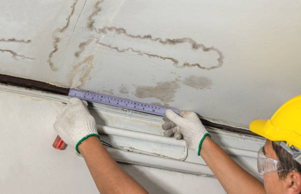 Reliable Water Damage Repair contractor in Homer, GA by Hirex Water Damage
